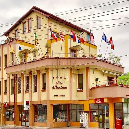 Vila Nicoleta Baile Olanesti Bagian luar foto