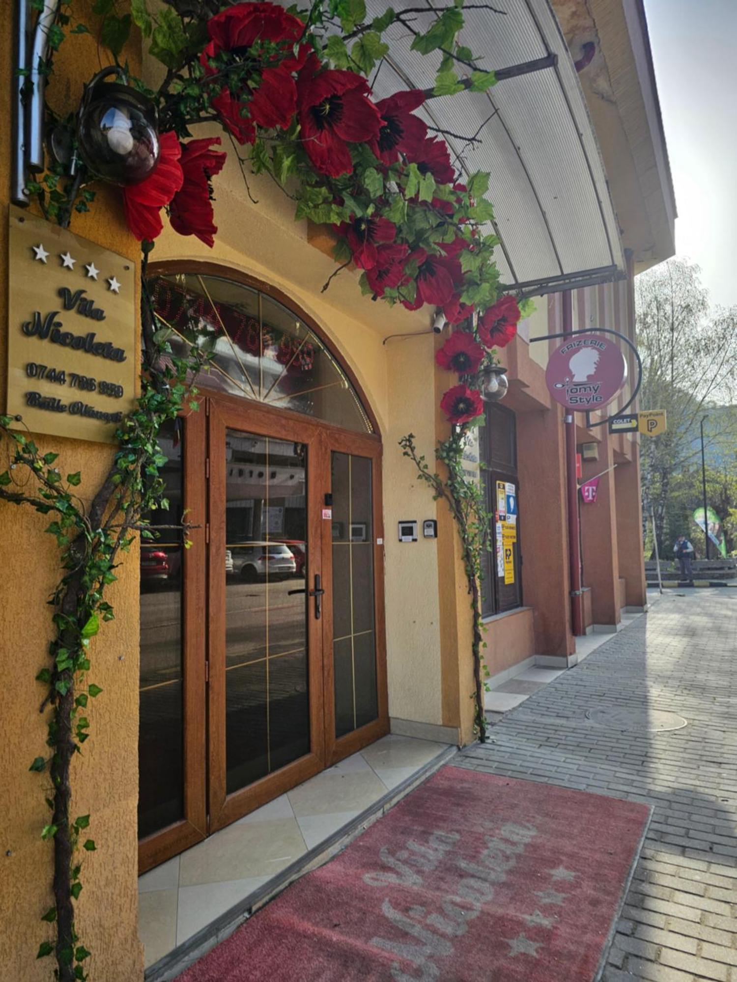Vila Nicoleta Baile Olanesti Bagian luar foto