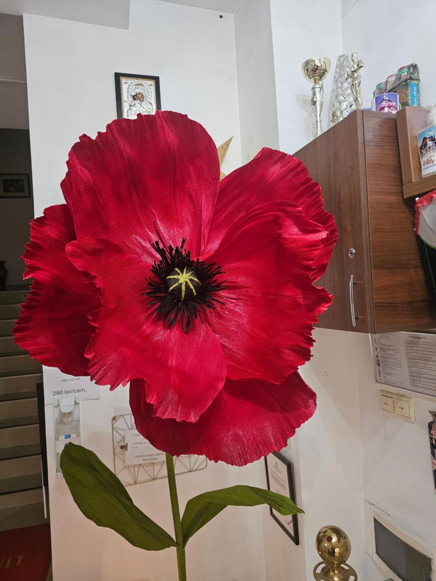 Vila Nicoleta Baile Olanesti Bagian luar foto