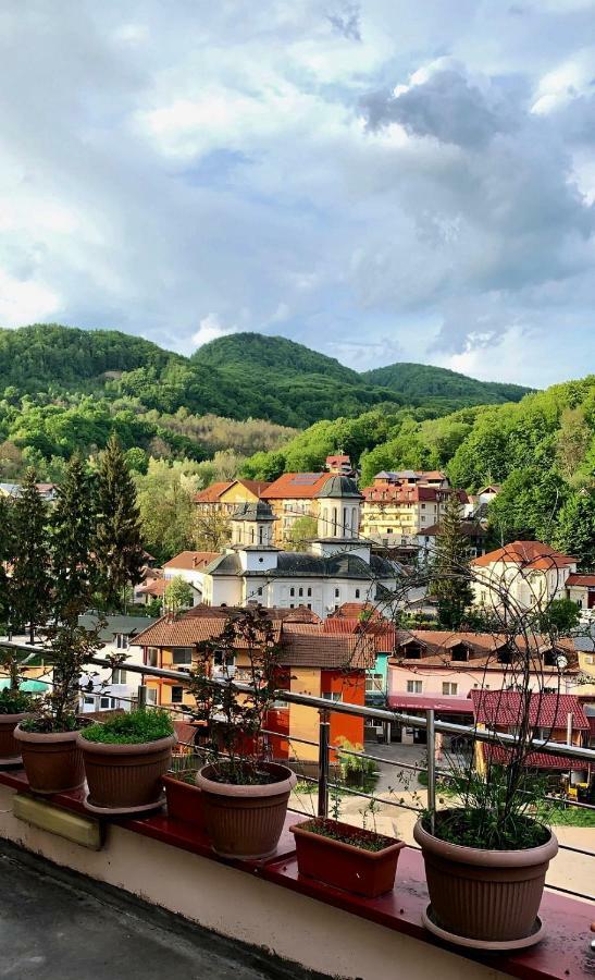 Vila Nicoleta Baile Olanesti Bagian luar foto