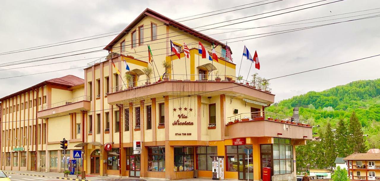 Vila Nicoleta Baile Olanesti Bagian luar foto